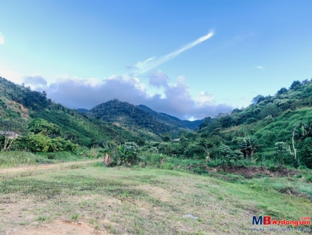Đất vườn xã Lộc Nam - Bảo Lộc bên suối view đẹp